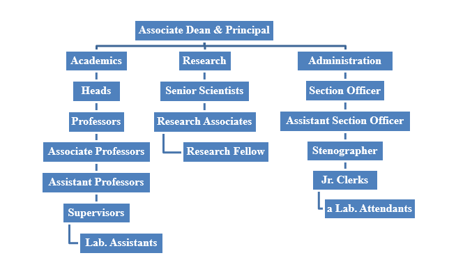College Administration Structure Chart